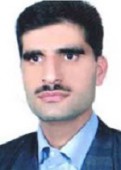 دکتر محمد کاظم امامی میبدی